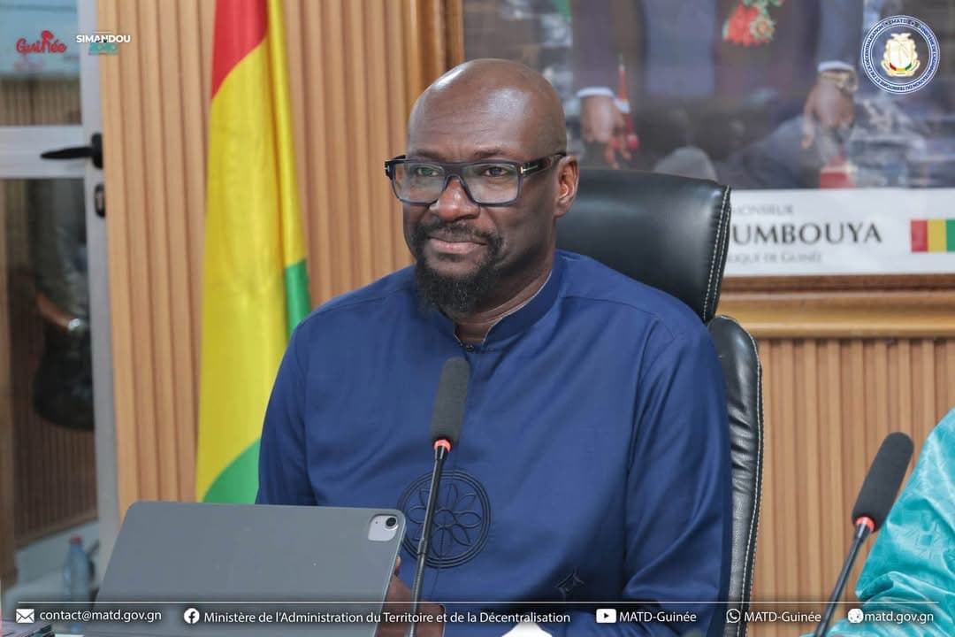 🇬🇳 RTH du MATD : la charte graphique du Gouvernement et l'actualisation de la LPN-DDL à l'ordre du jour