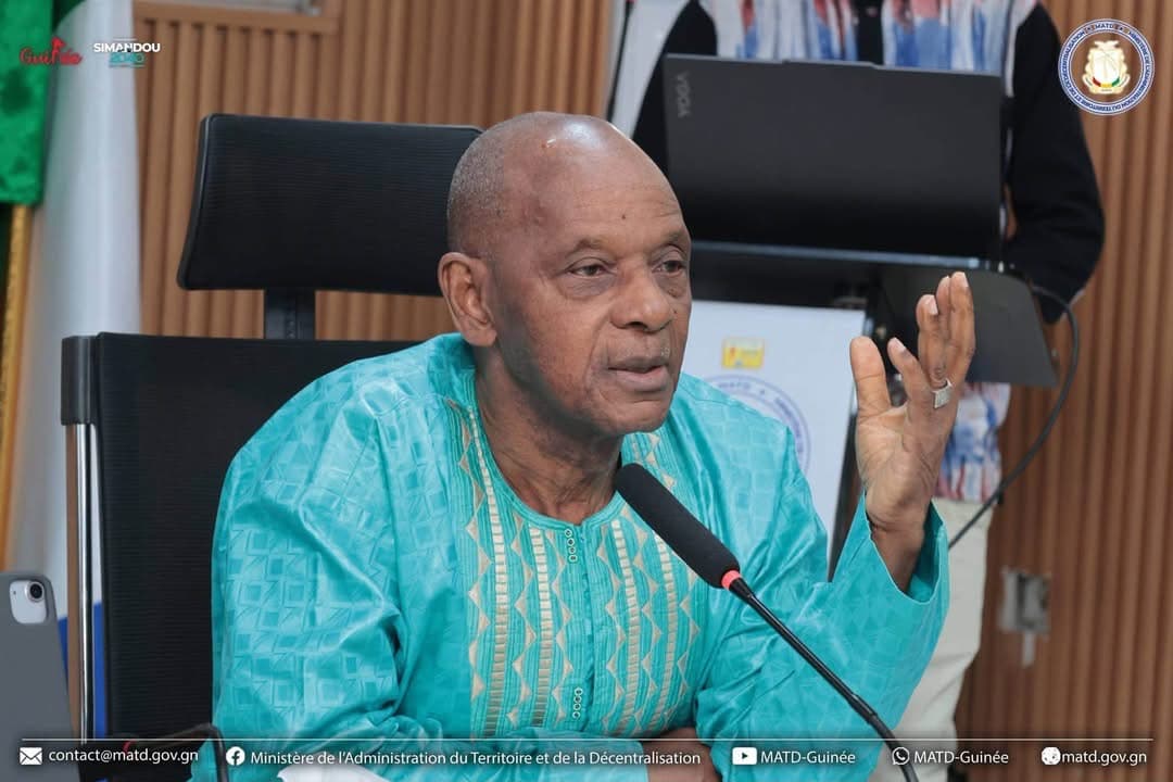 🇬🇳 RTH du MATD : la charte graphique du Gouvernement et l'actualisation de la LPN-DDL à l'ordre du jour