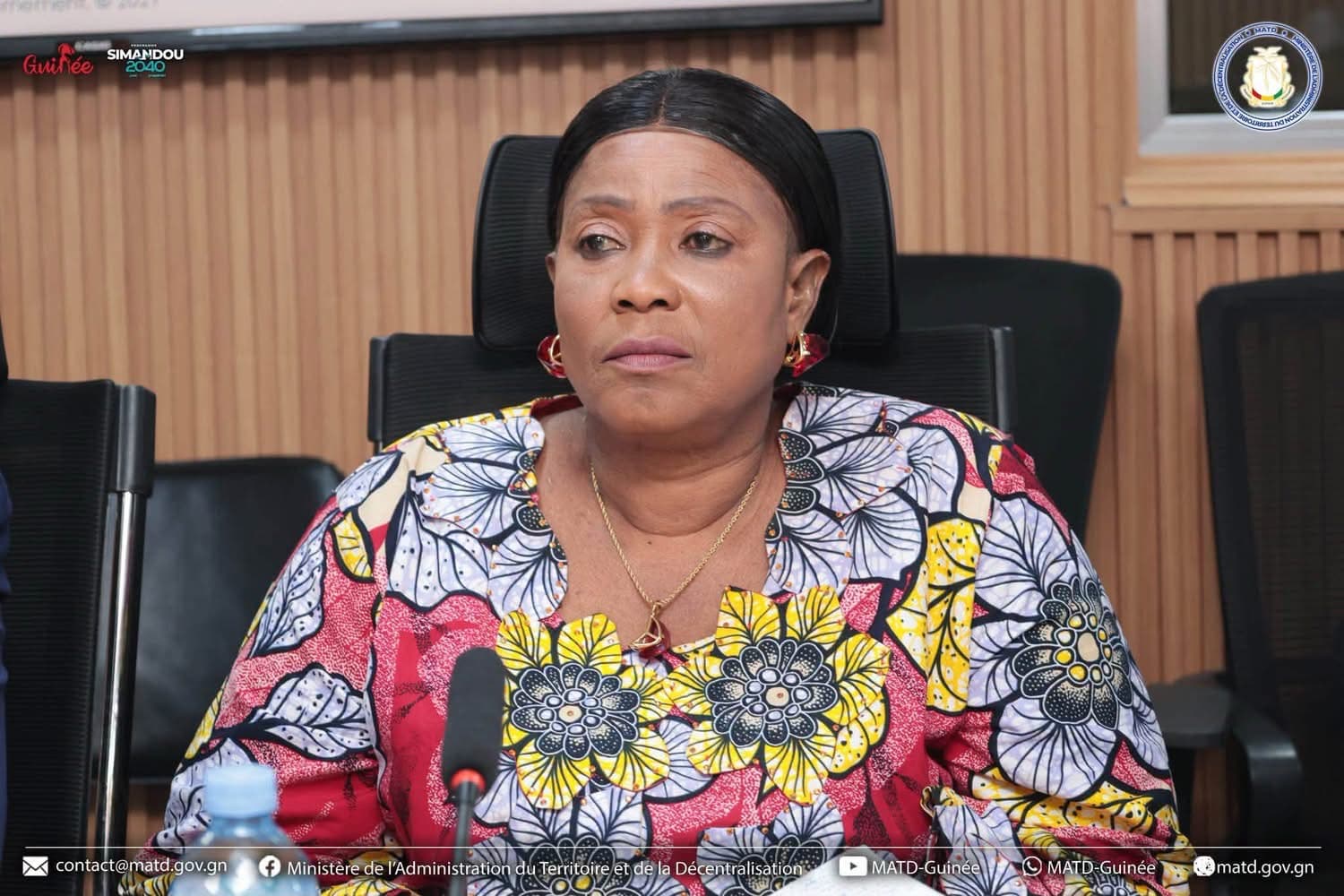 🇬🇳 RTH du MATD : la charte graphique du Gouvernement et l'actualisation de la LPN-DDL à l'ordre du jour